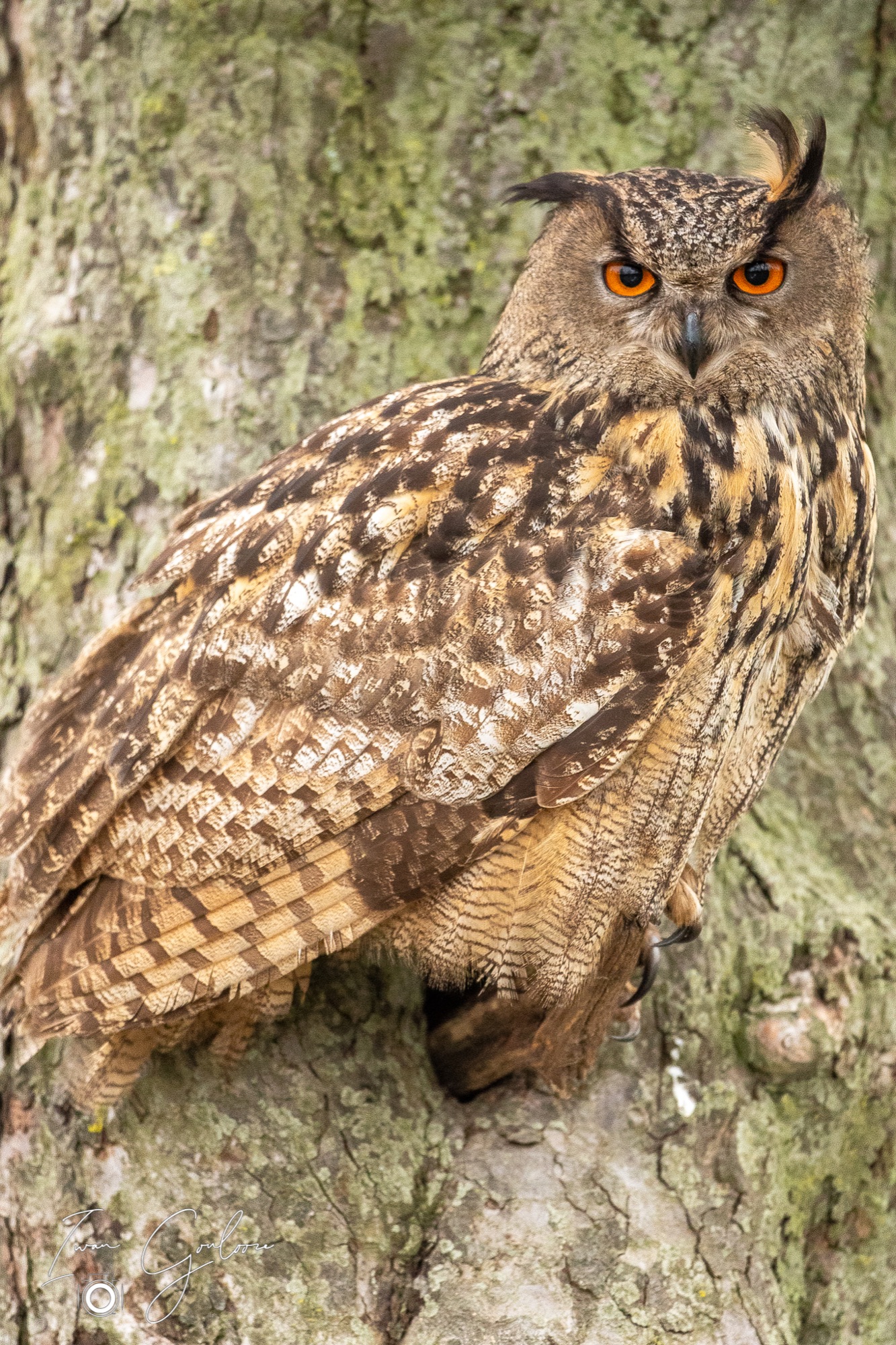 01 april 2022 124340  5D45738